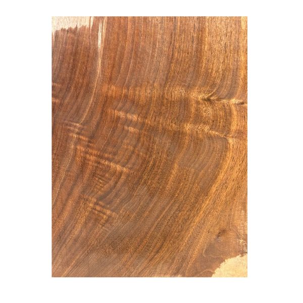 Black Walnut Lumber Live Edge Slab - 51 x 11 x 2  #64 Discount - Image 3